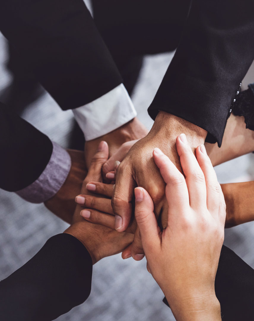 Zhejiang Shuangnuo Bearing Technology Co. ، Ltd.